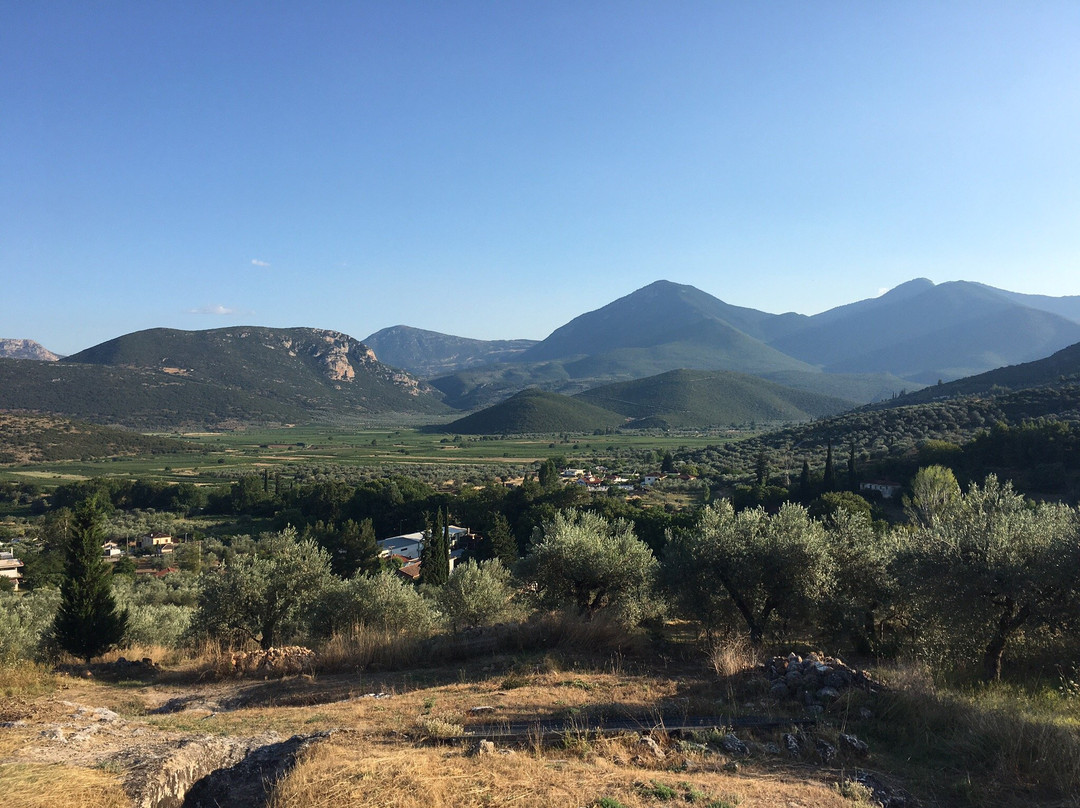Mycenaean Cemetary景点图片