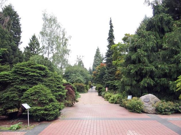Nationaal Bomenmuseum Gimborn景点图片
