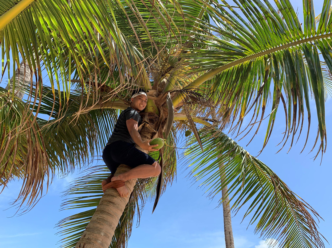 Coconut Revolution 101-圣胡安必去景点