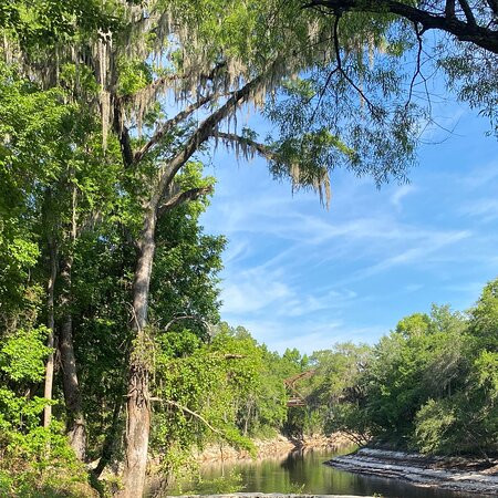 Spirit of the Suwannee Music Park景点图片