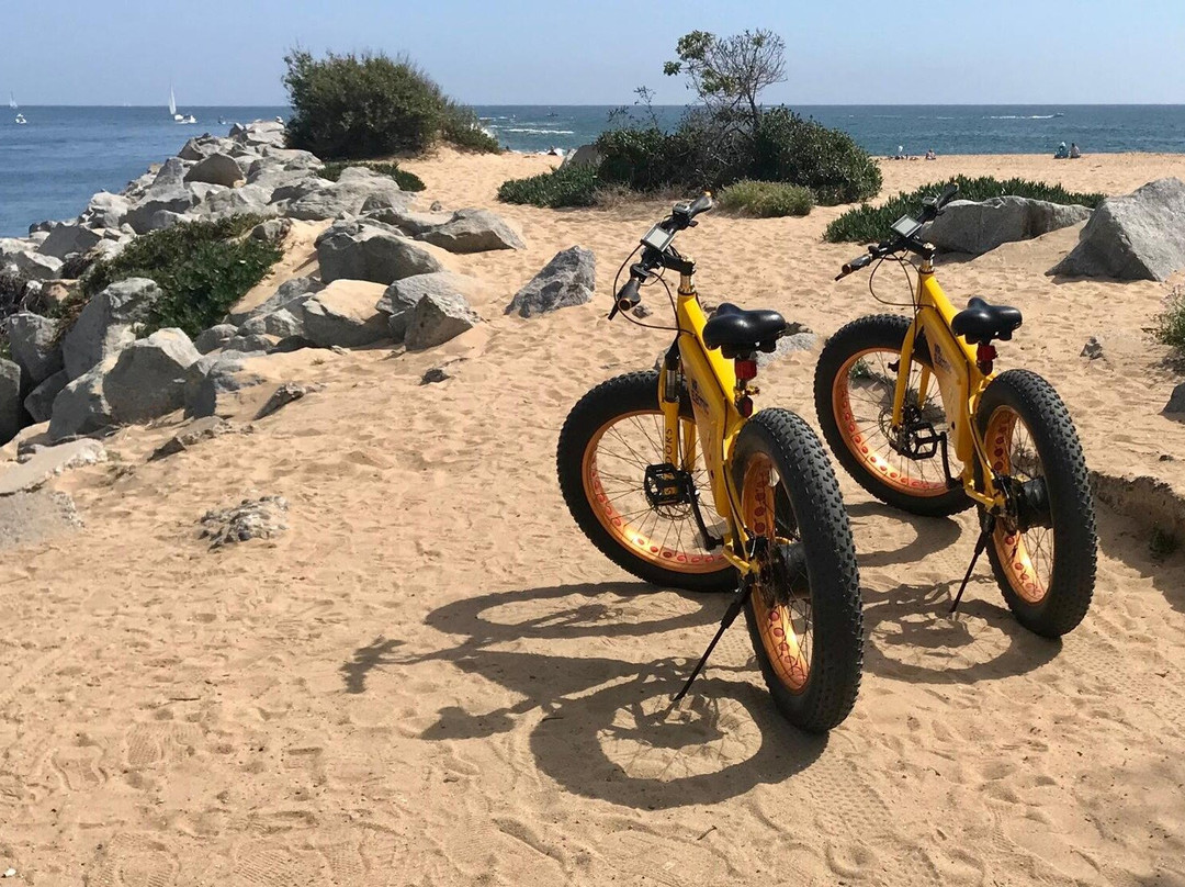 Voltaire Cycles Sarasota