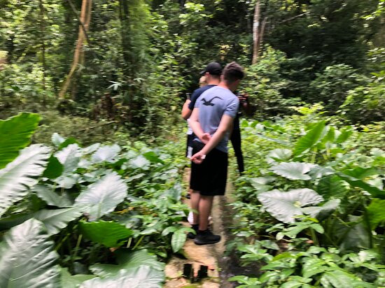 Abeokuta Paradise Nature Park景点图片