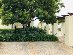 De Grendel Wine Estate-Panorama必去景点