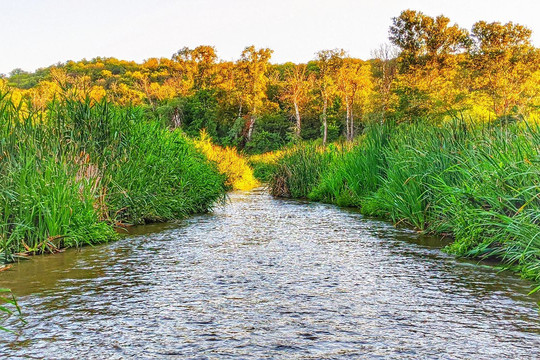 Delta Of Borova River-Severodonetsk必去景点
