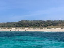 All Sea Charters-巴瑟尔顿必去景点