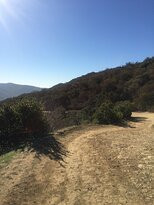 Laguna Coast Wilderness Park-拉古纳海滩必去景点