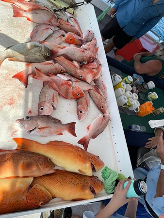 Arafura Bluewater Charters-达尔文市必去景点