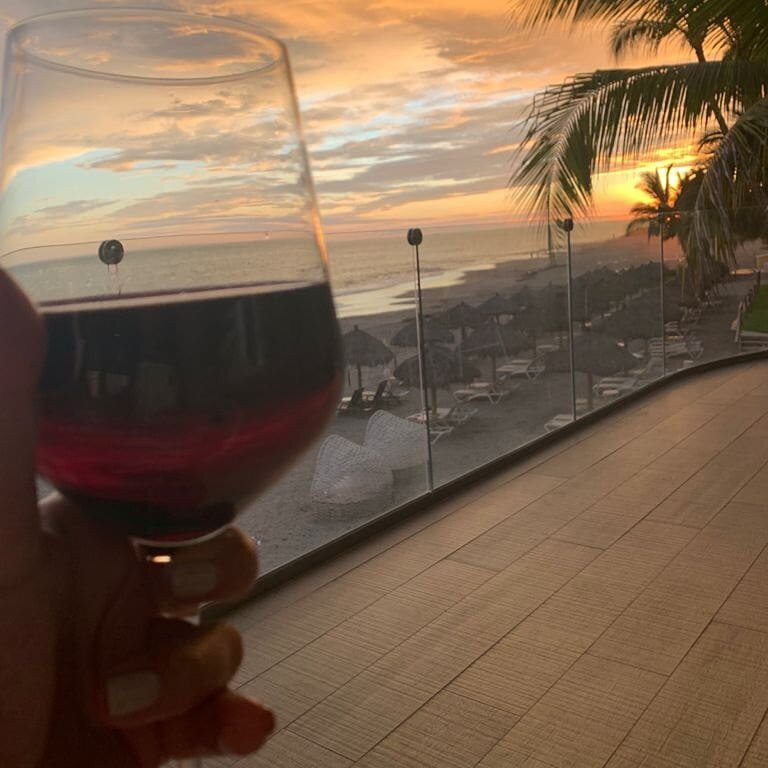 Puerto Vallarta Tours and Concierge-瓦拉塔港必去景点