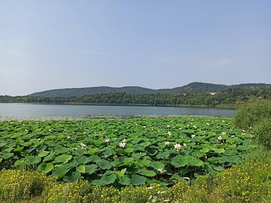 pista ciclabile lago di Comabbio景点图片