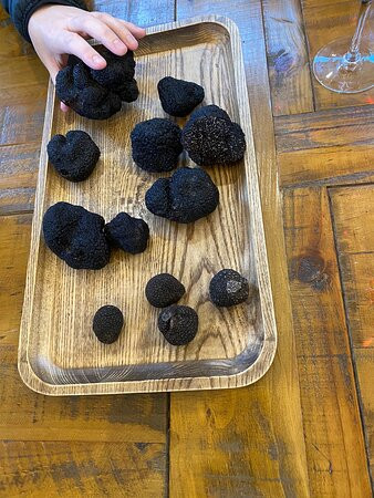 The Truffle Farm-堪培拉必去景点