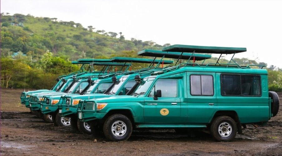 Wildlands Safaris (T) Ltd-塞伦盖蒂国家公园必去景点