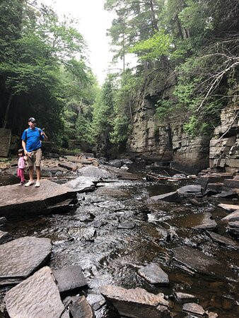 Canyon Falls Trail-L'Anse必去景点