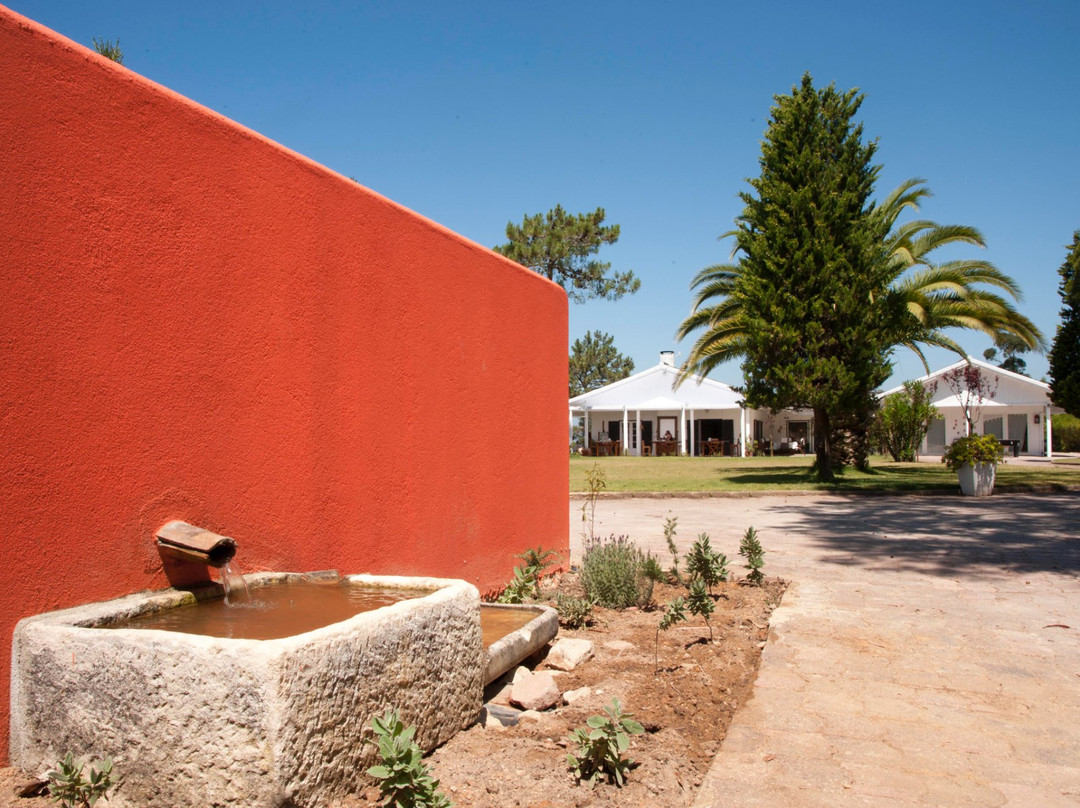 Alfarim酒店住宿-Casal Do Frade