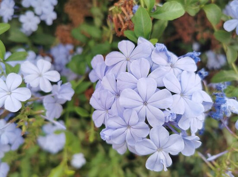 Gr 249 Senda Litoral-Rincon de la Victoria必去景点