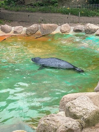 Derr Zoo-Park Arche Noah in Gromitz/Ostsee景点图片