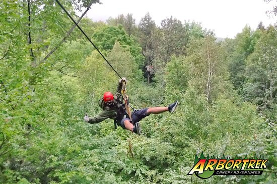 ArborTrek Canopy Adventures景点图片