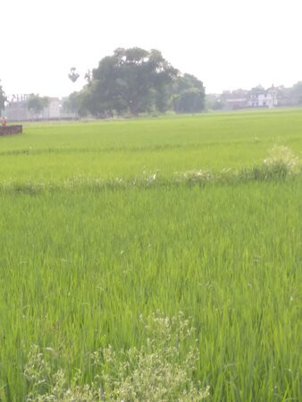 秦皇求仙入海处-秦皇岛市必去景点