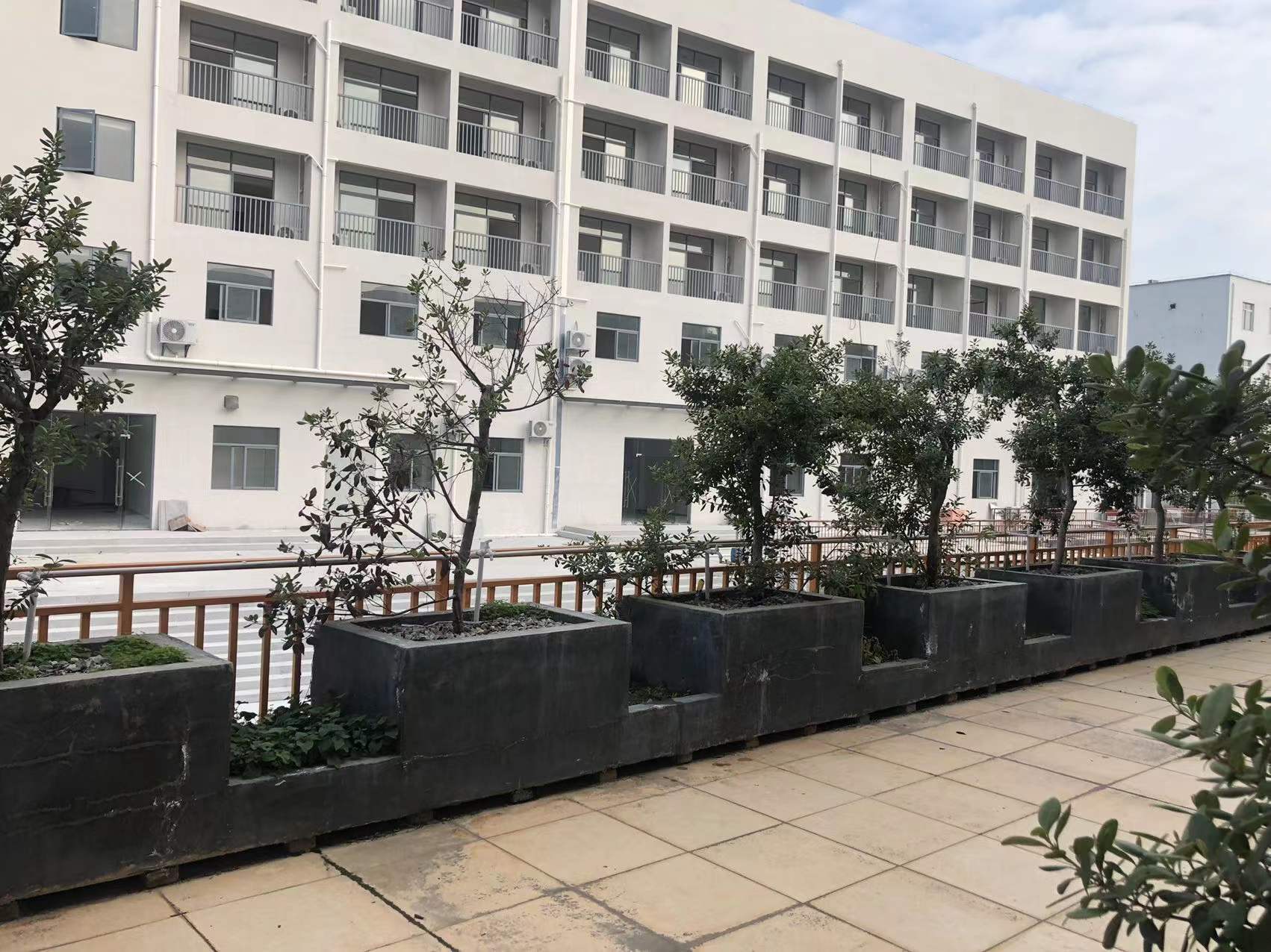 晨曦凤悦轻尚酒店-官方