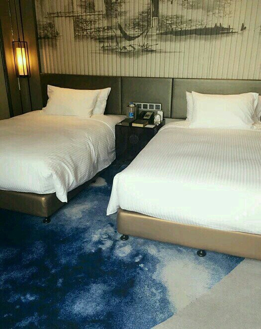 芜湖富力万达嘉华酒店主图