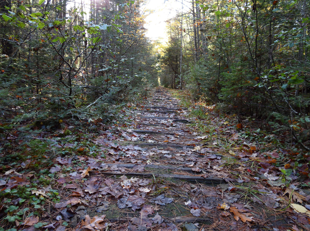 Old Pond Railway Trail景点图片