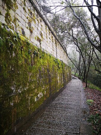 岳麓山景点图片