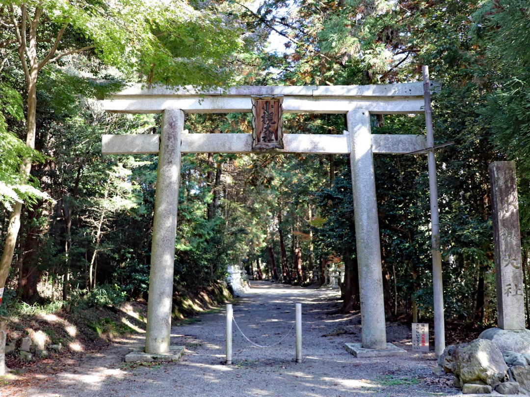 Kotsuki Taisha Shrine景点图片
