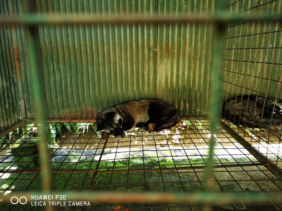 Kebune Bali Agrotourism-Kemenuh必去景点