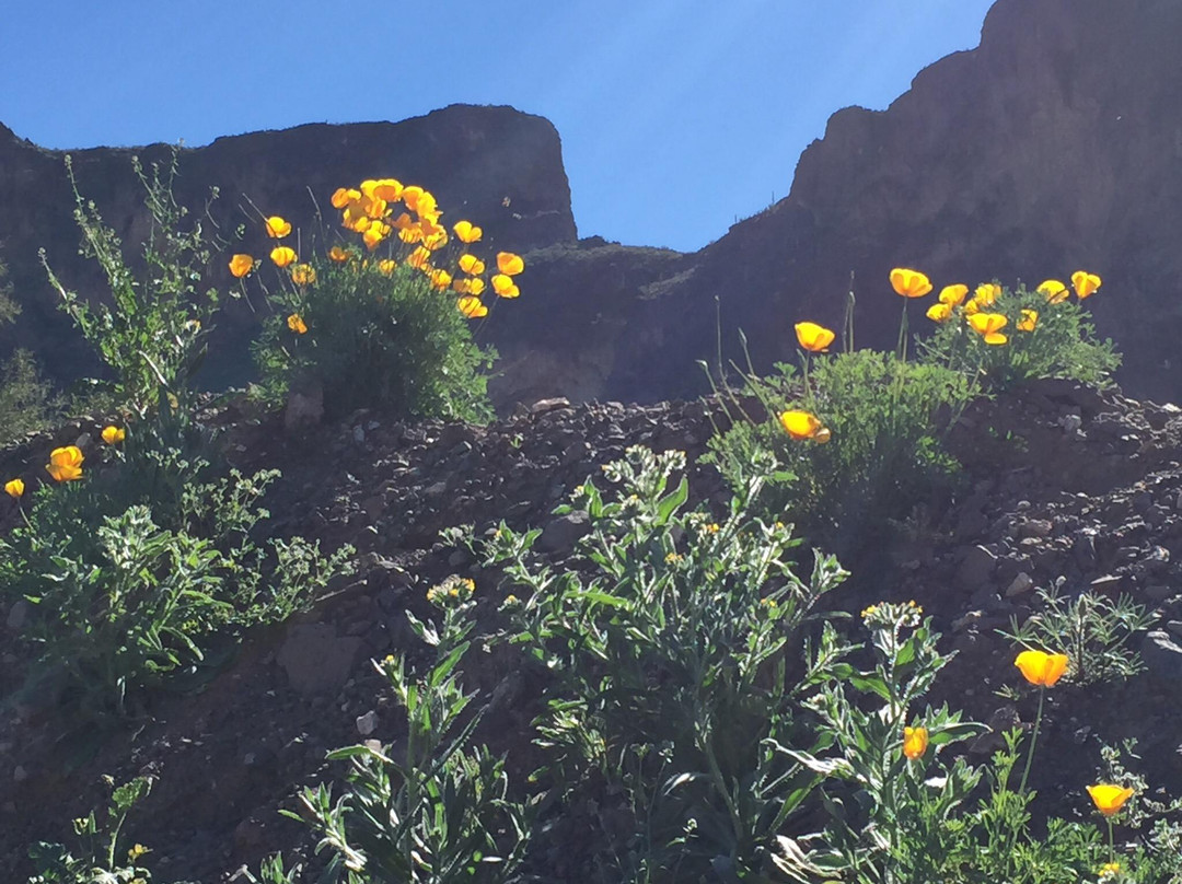 Picacho旅游攻略图片