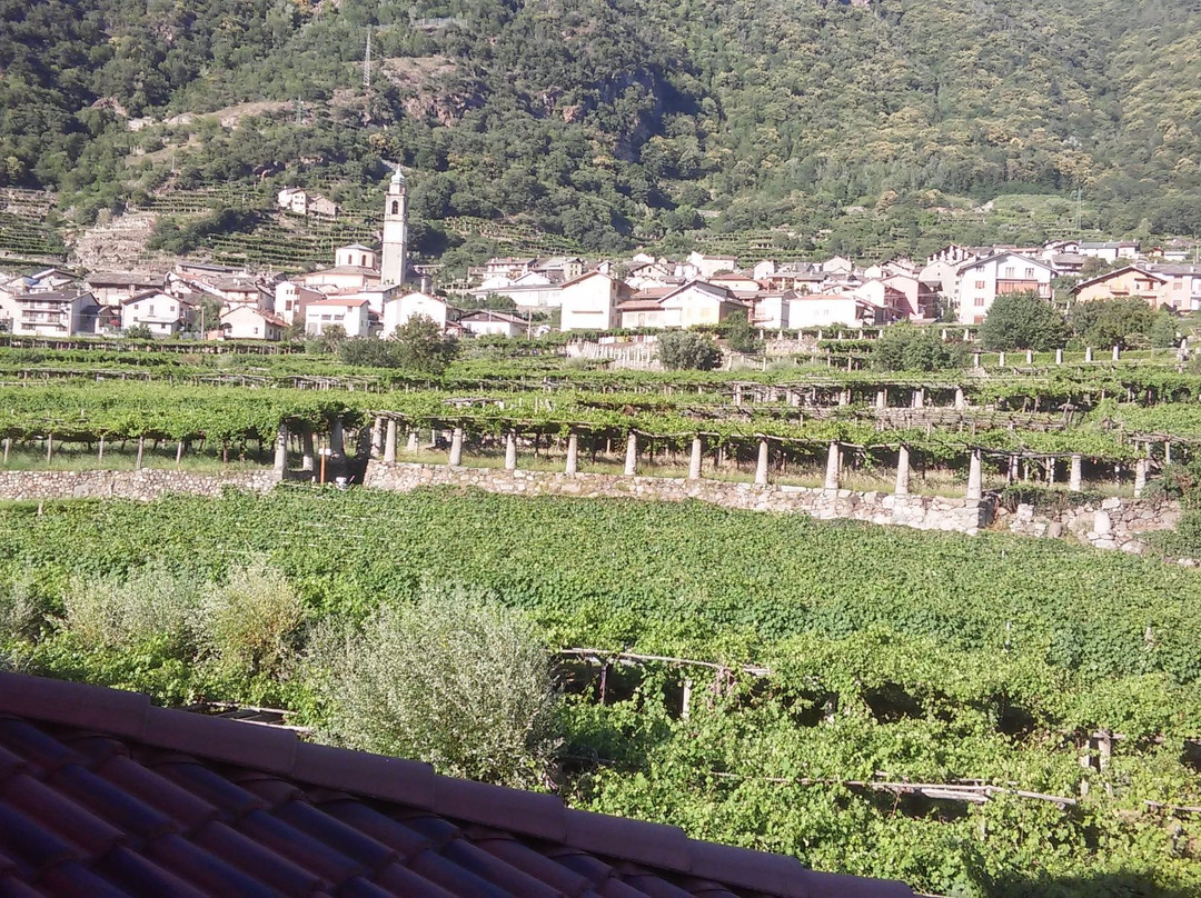 Carema旅游攻略图片