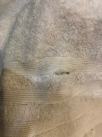 Lighthouse Guesthouse & Cafe主图