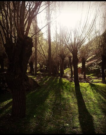 Gizelyurt Manastir Vadisi-Güzelyurt必去景点