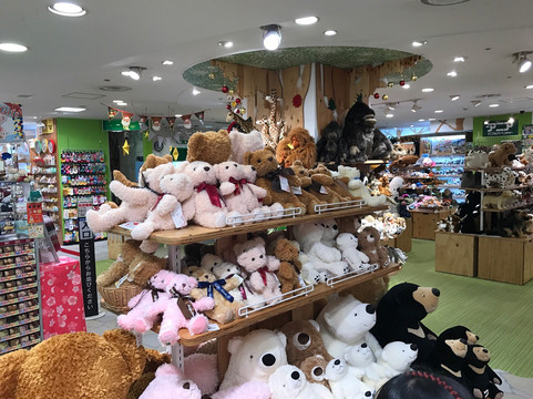 银座博品馆-Ginza必去景点