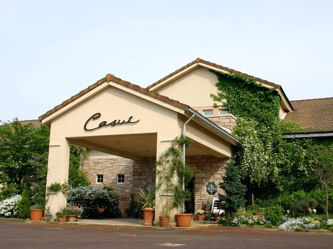 Akiha Spa Casui-新泻市必去景点