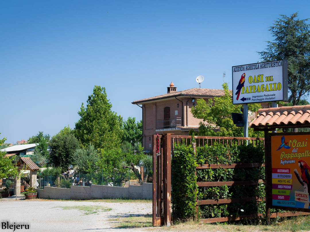 Oasi del Pappagallo