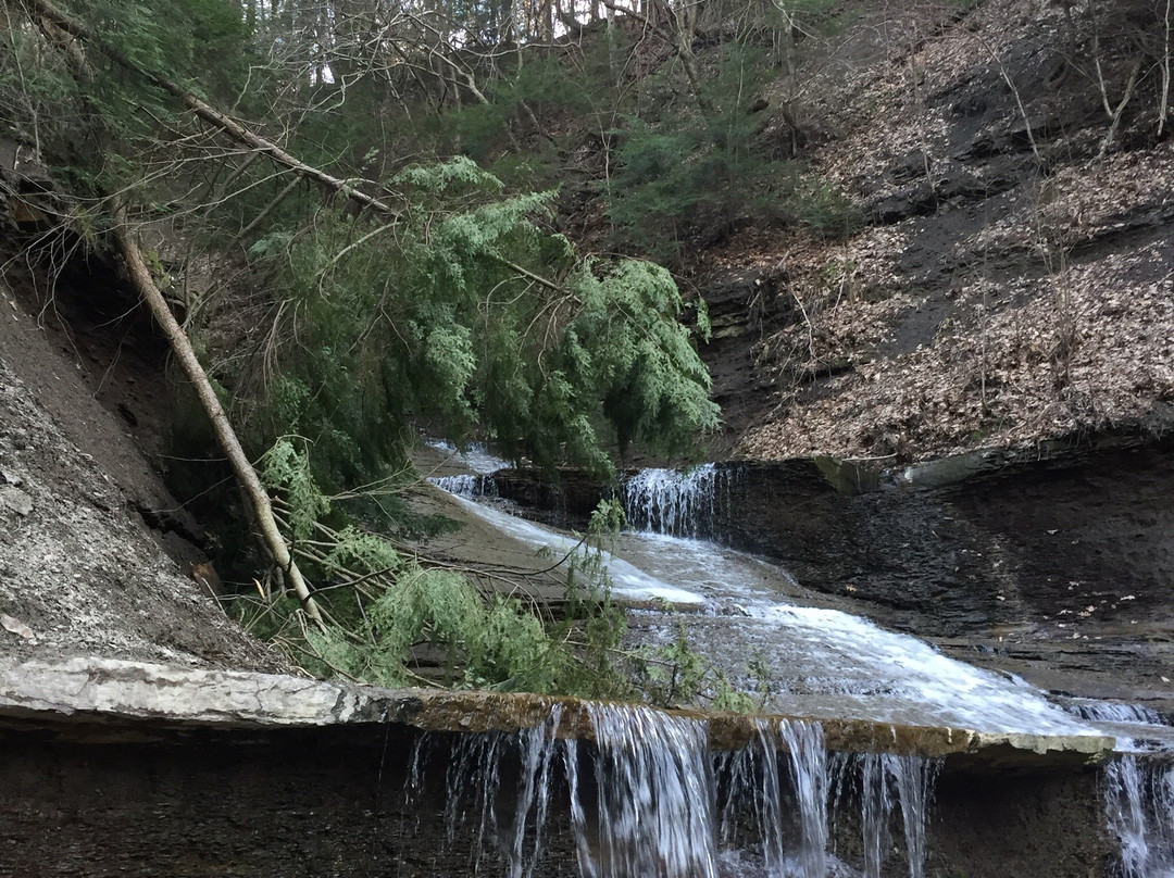 Hidden Valley Park景点图片