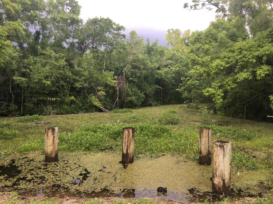 St. Bernard State Park景点图片