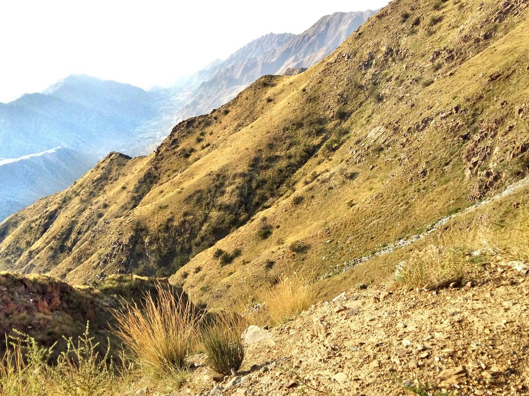 Abha旅游攻略图片