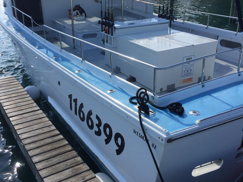 Black Dog Fishing Charter-朱庇特必去景点