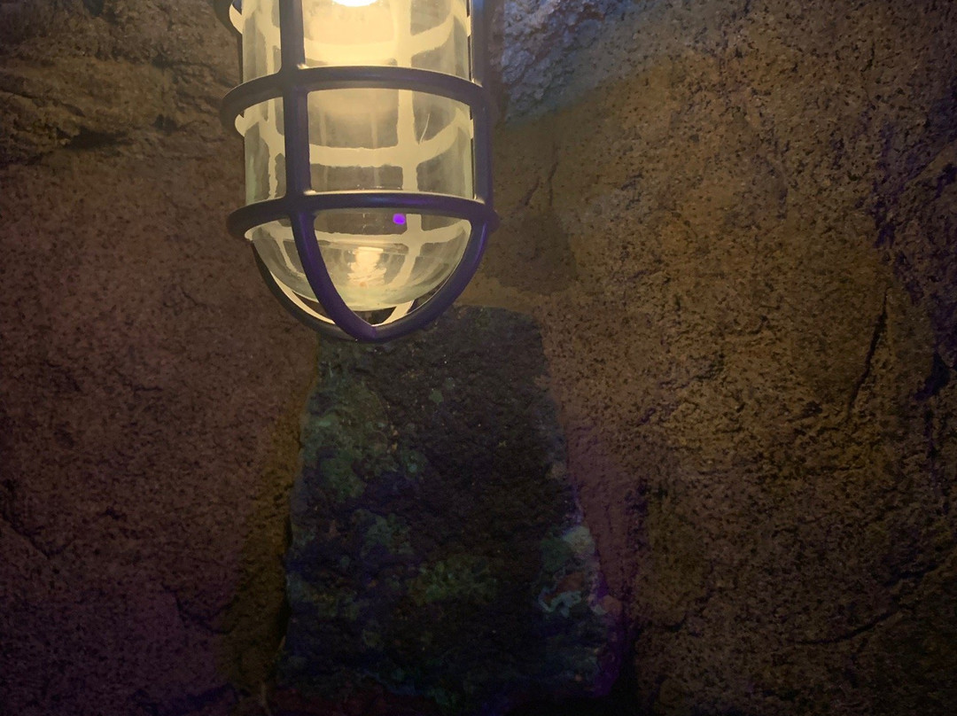 Four Peaks Mining Company-斯科茨代尔必去景点