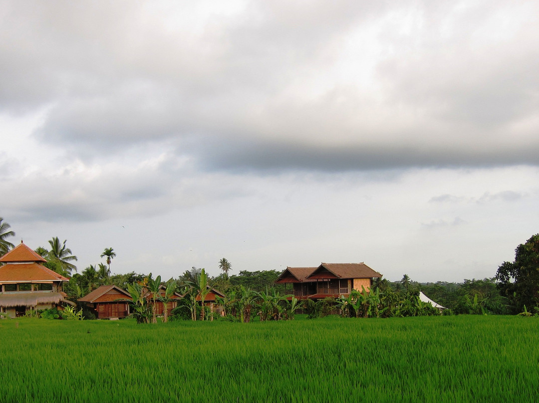 Bali Silent Retreat