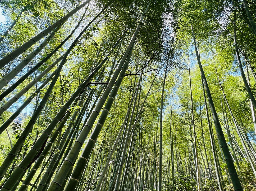 梅岭国家级风景名胜区景点图片