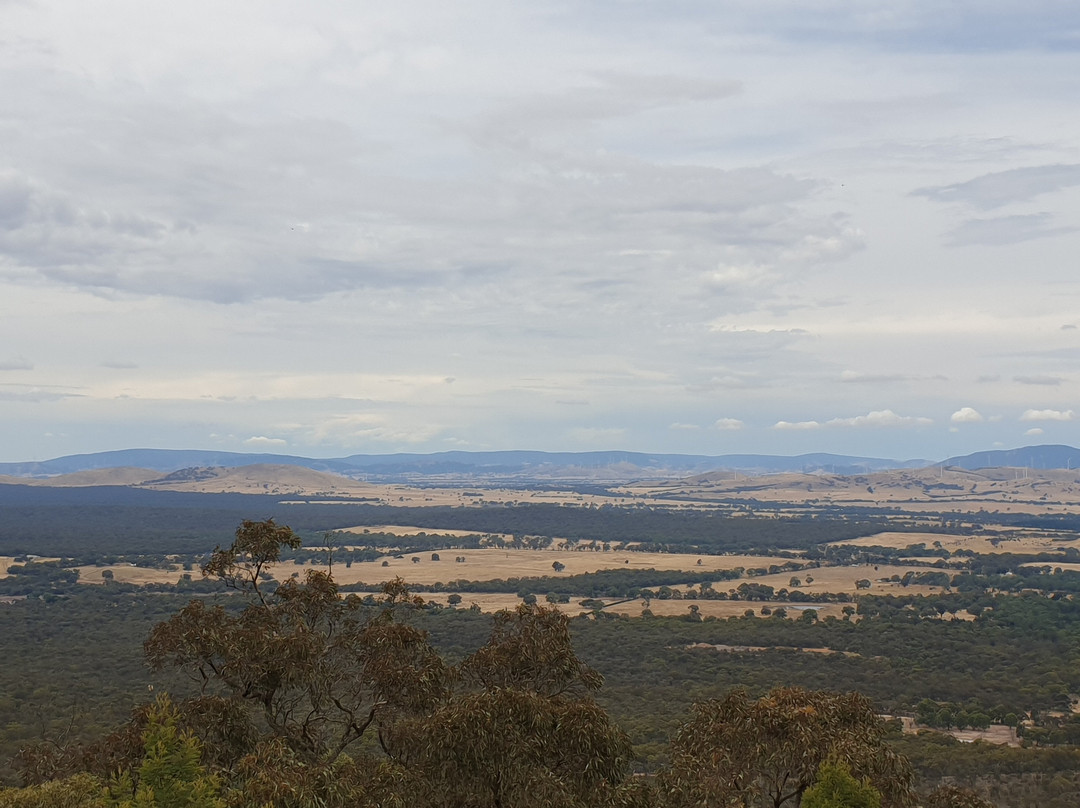 One Tree Hill Lookout-亚拉拉特山必去景点