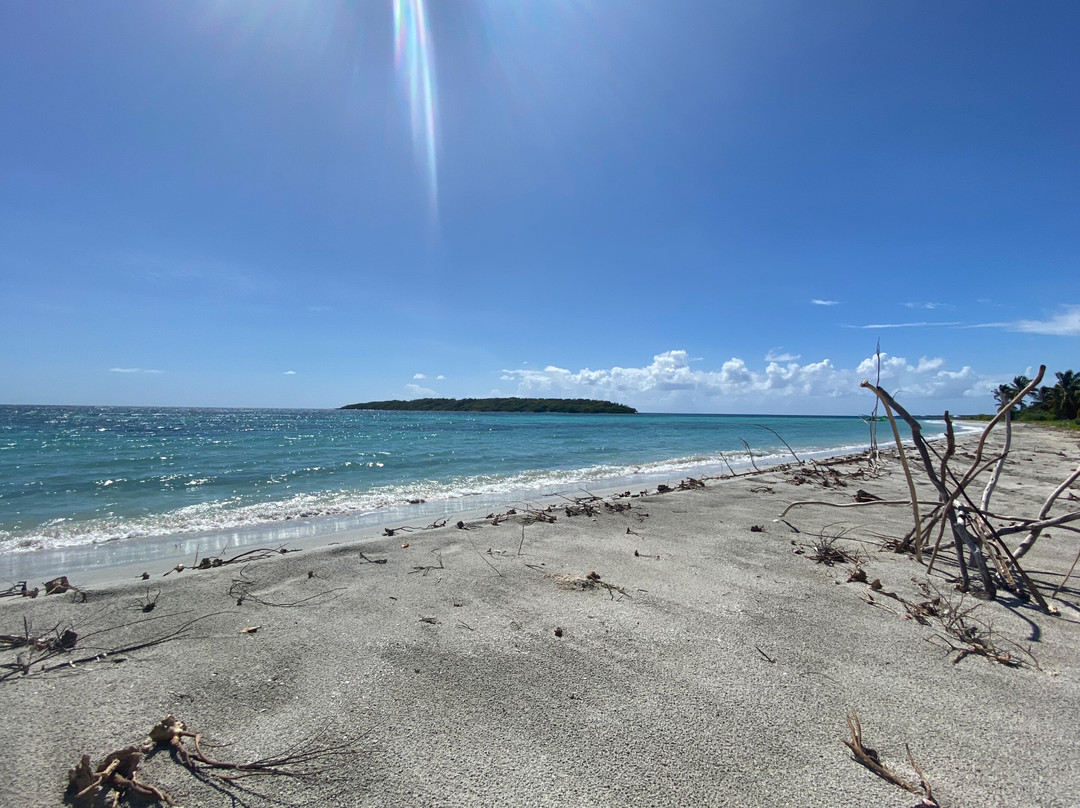 Vieques Concierge-维切克岛必去景点