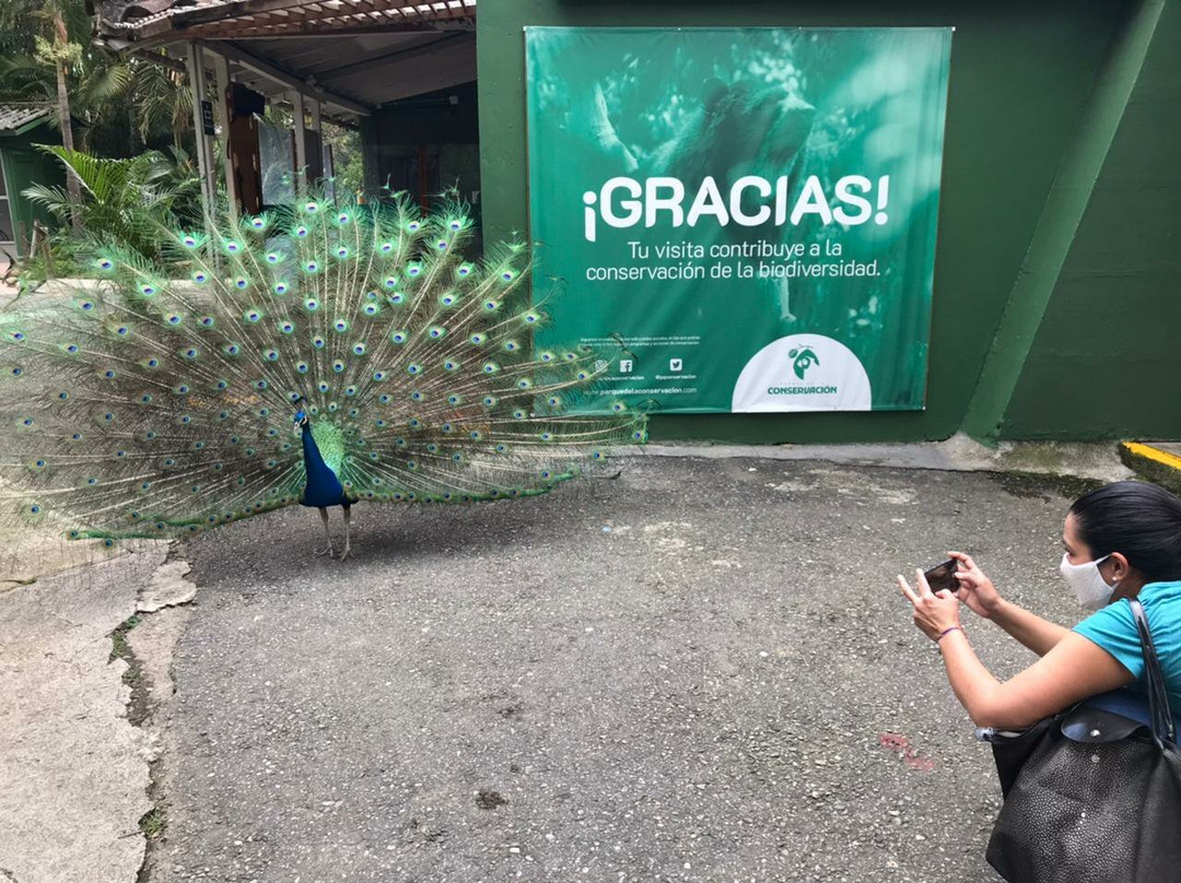 Parque de la Conservación景点图片