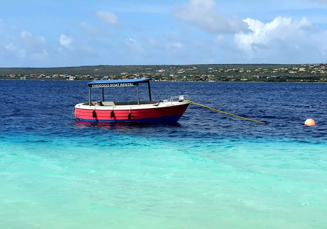 Chogogo Kiteschool-Kralendijk必去景点