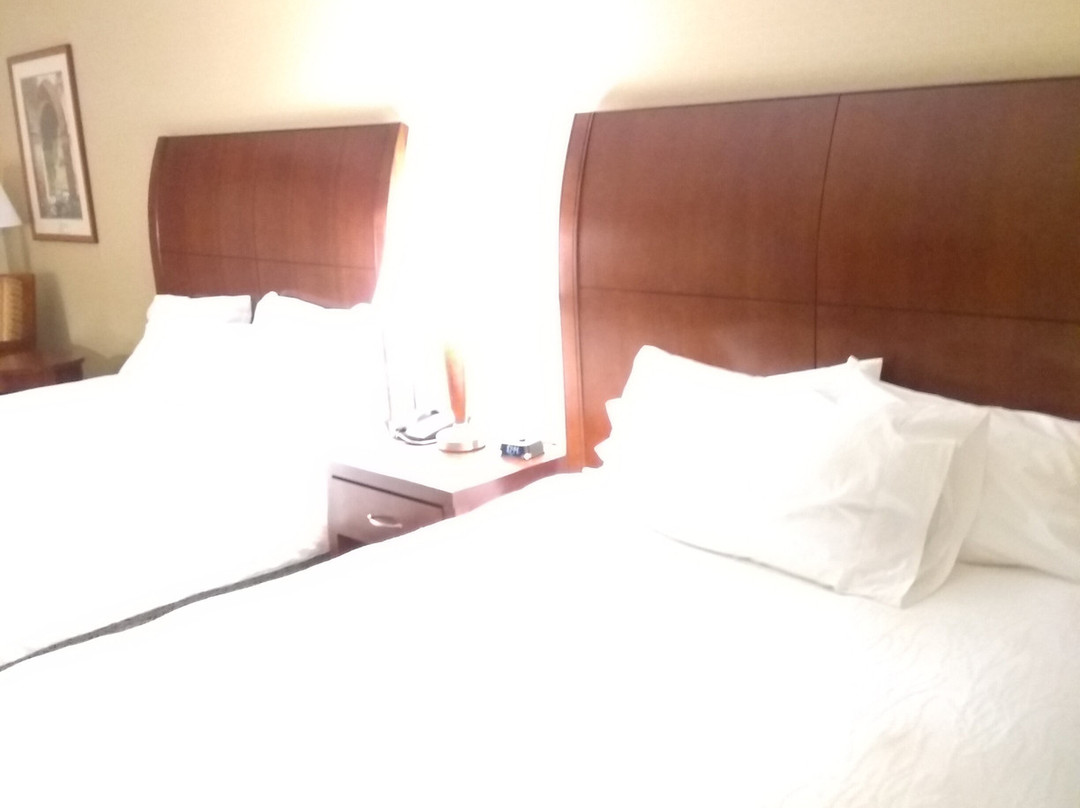 伊利希尔顿花园酒店主图