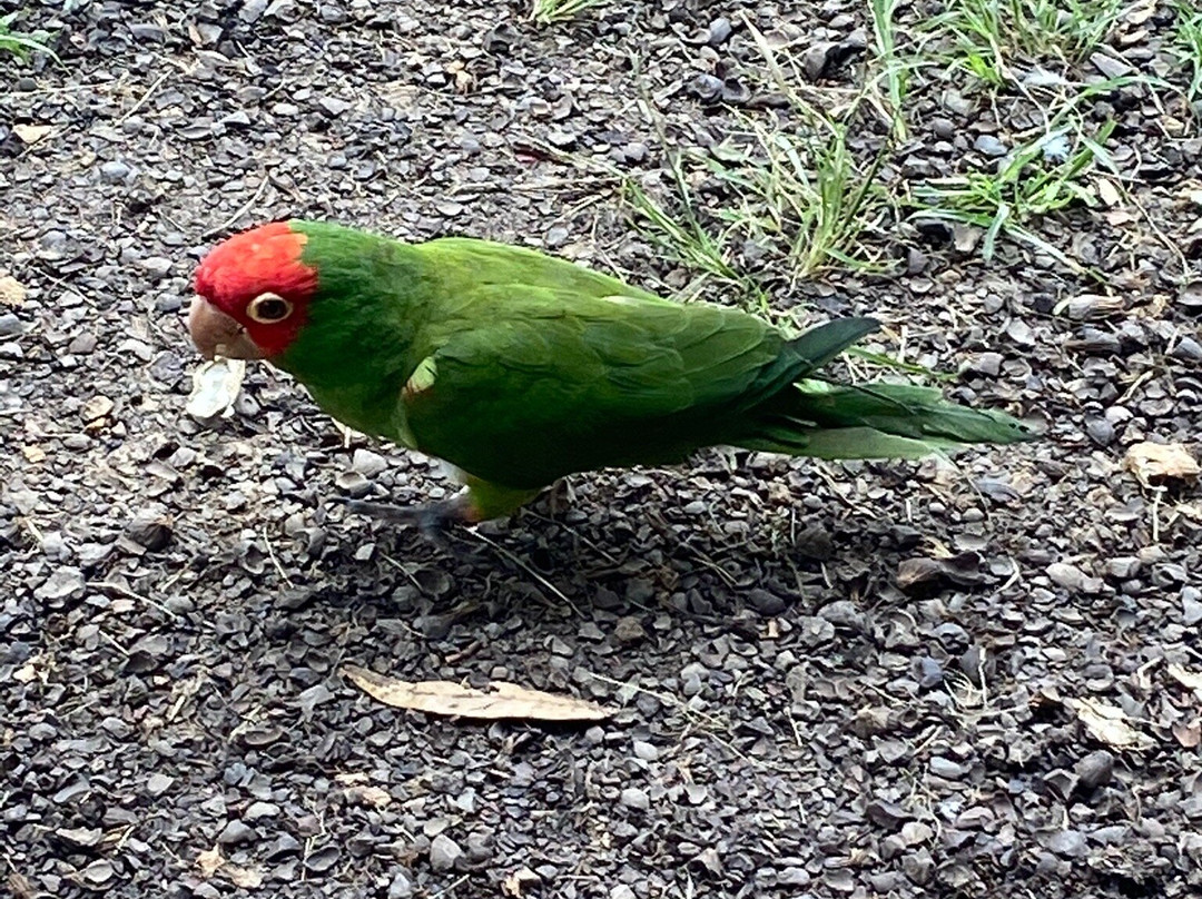 El Jardin Alado-Tumbaco必去景点