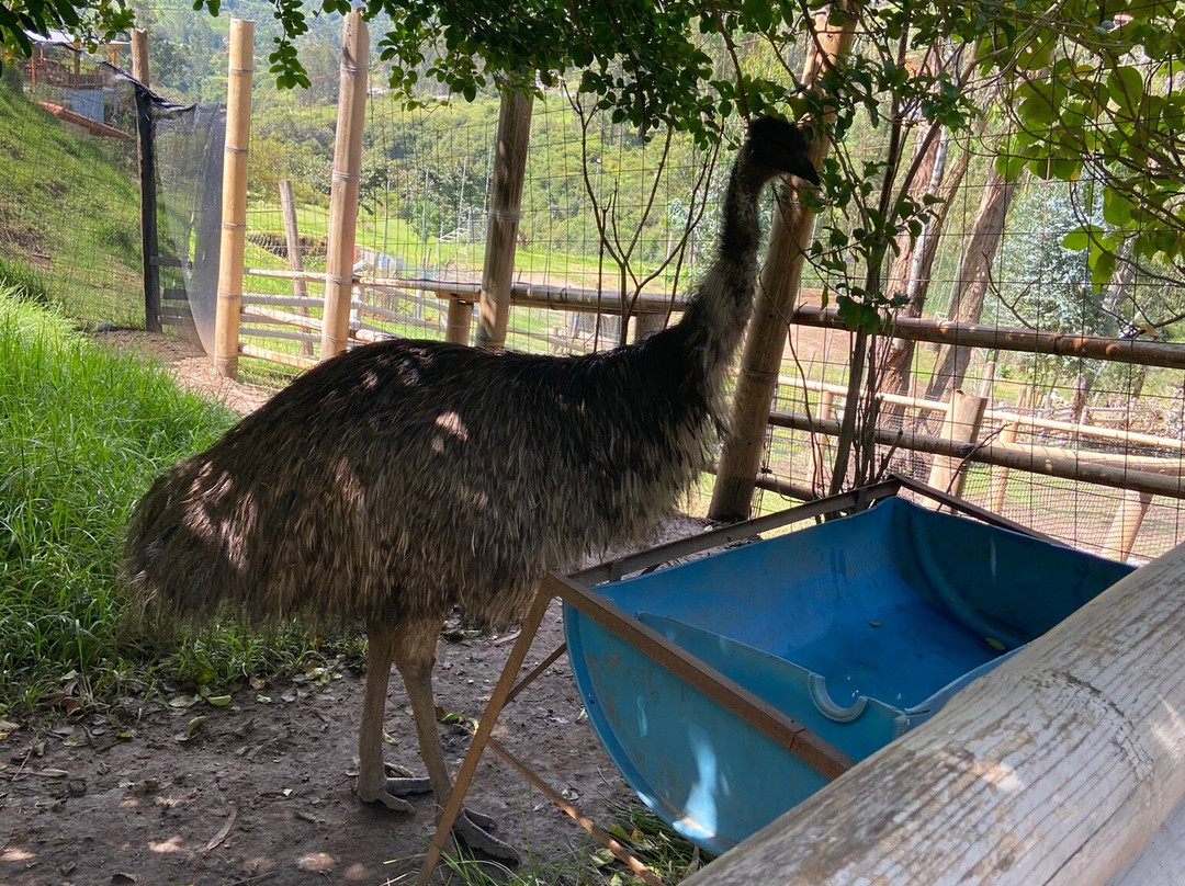 El Jardin Alado-Tumbaco必去景点