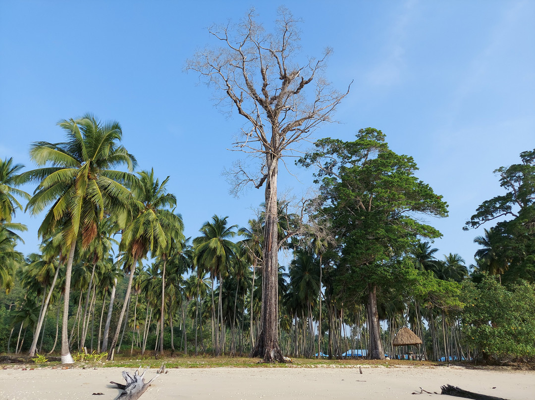 Lalaji Bay Beach-Long Island必去景点