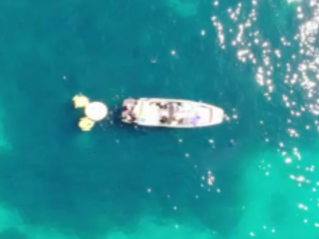 Lucky Boat